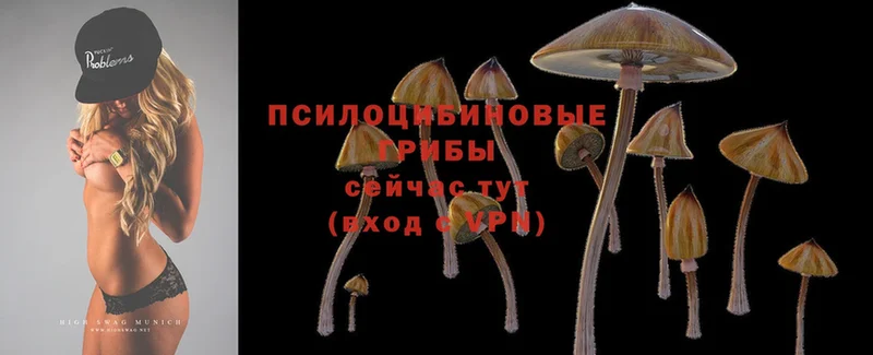 даркнет сайт  Лиски  Псилоцибиновые грибы Magic Shrooms 